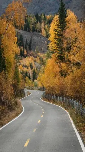 公路旁秋色美景高清原图查看