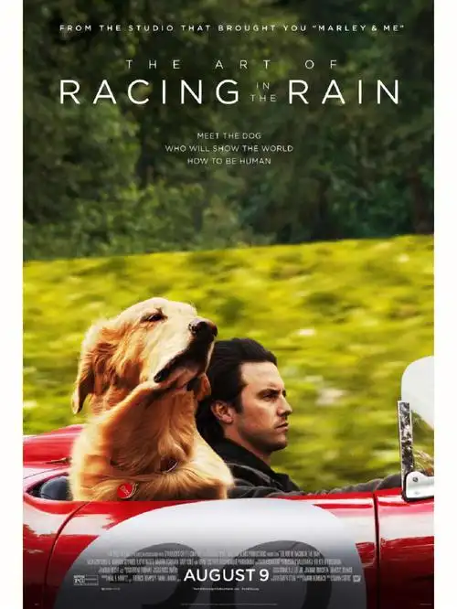 电影《我在雨中等你》活在当下的勇气和担当