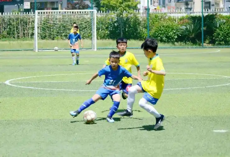 奉化区第二届运动会儿童部足球比赛暨2024年区小学生校园足球联赛收官