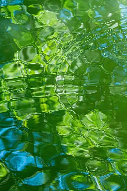 绿色护眼壁纸背景图