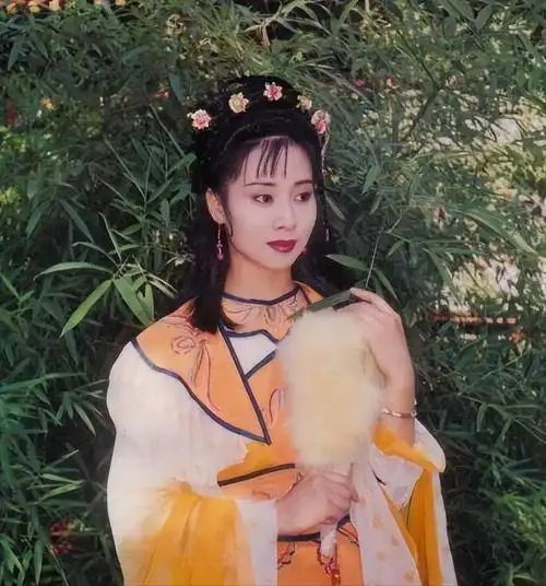 宰相刘罗锅28年演员现状主角老到不敢认有几位配角已去世