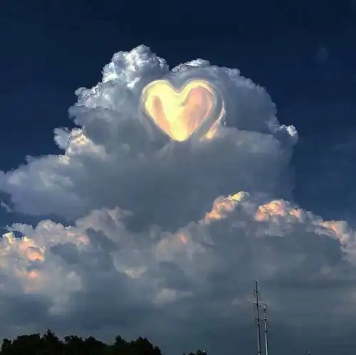 治愈系背景图:我爱你,请不要以秋,以岁,以生命,去计量!