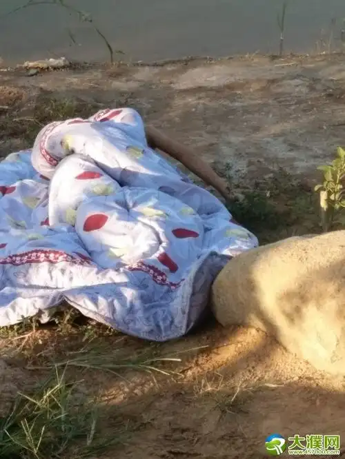 [突发]濮阳县文留镇人工湖两个小孩溺水,救上来,脸色发青,已经死亡.