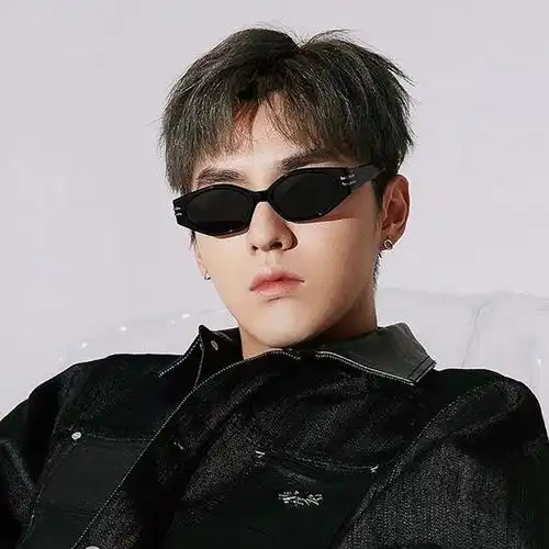 吴亦凡拍凹2021男女太阳镜防紫外线造型小框街复古墨镜太阳眼镜