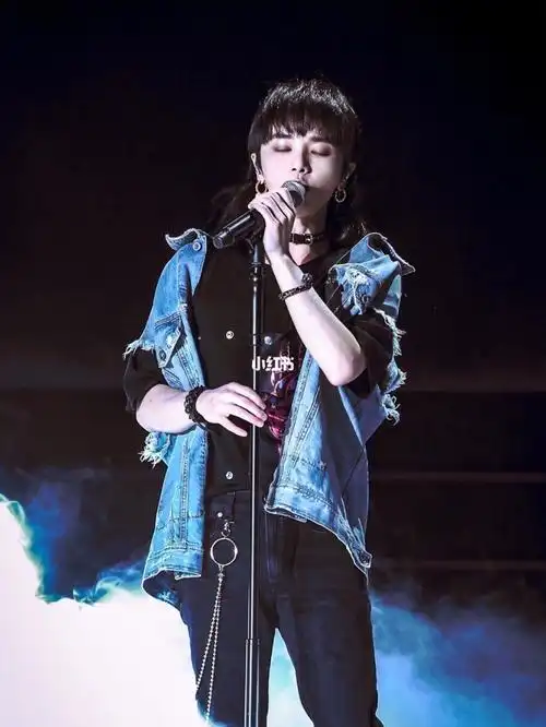 大哥的美图(2)——卷鹅_美图怎么样_华晨宇_娱乐_明星娱乐资讯