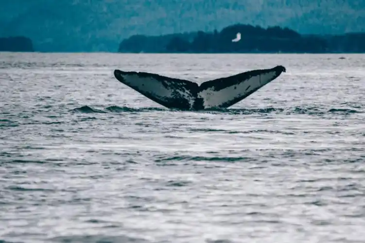 2021超治愈短片这世界总有一个懂你的人