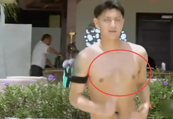 娱乐圈6大毛孩窦骁的胸毛肖战的肚子还有人的腿像毛裤