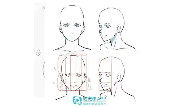 我们需要掌握五官的比例,五官比较基础的比例是三庭五眼,我们通过一些