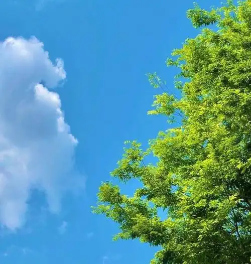 治愈人心的朋友圈说说,温暖的阳光治愈系的句子-朋友圈说说-阳光说说