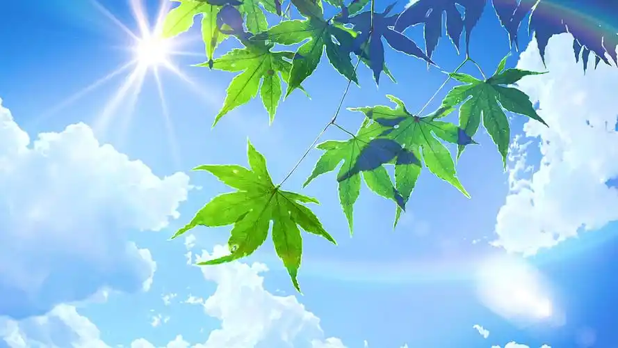 治愈系#阳光不燥 微风正好 好舒服的天气呀.