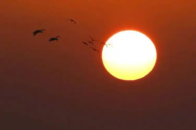 来抚州追晚霞!朋友圈素材 1