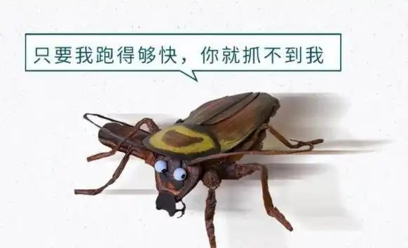 九成人不知"蟑螂"的天敌是啥:屋里放1个它,蟑螂会"自觉消失"