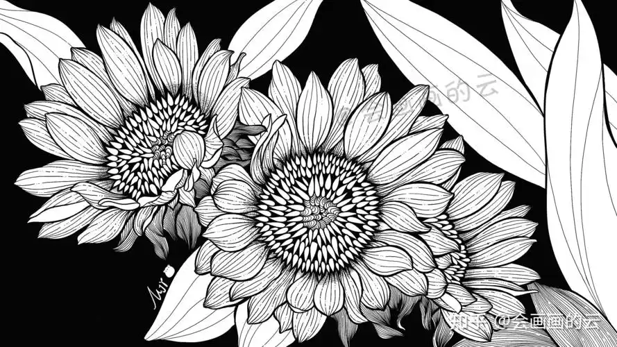 线条的魅力线描插画过程图详细步骤讲解教你如何零基础画画