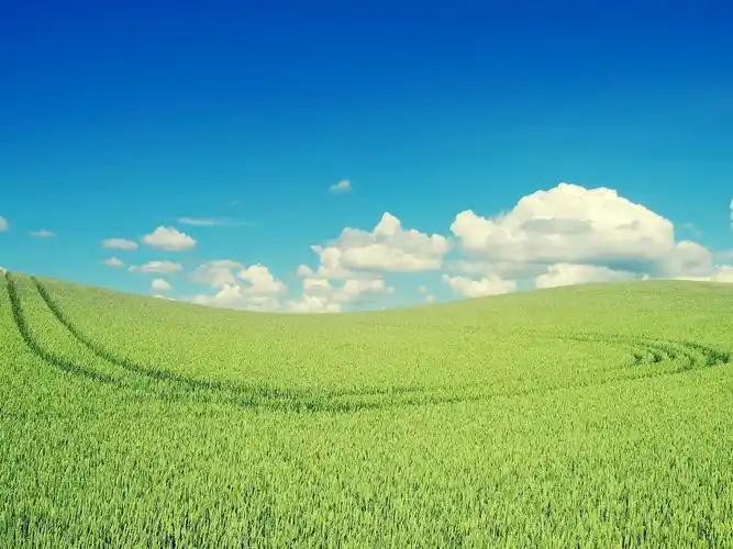 守望麦田壁纸图片