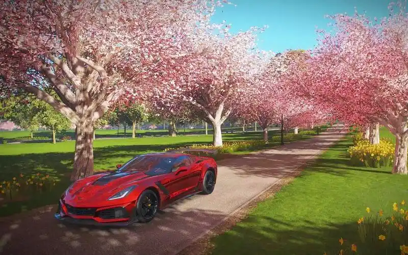 地平线4进入春天第一件事 就是去樱花小道拍照