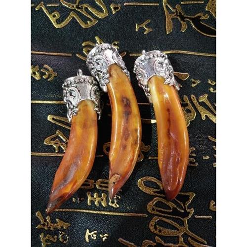 原生态二代养殖野猪牙齿镶嵌合金牙套牙吊坠挂件礼品吊坠挂件真品