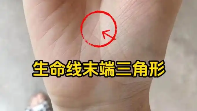 识人有术,生命线末端三角形