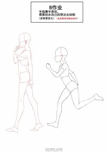 侧面的人体结构和细化