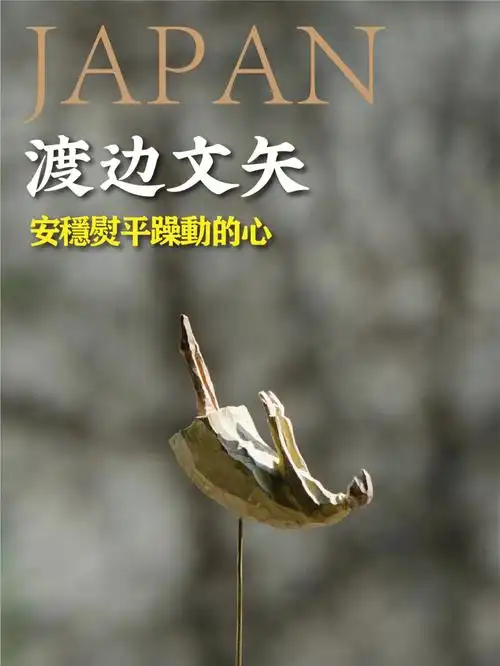 渡边文矢安稳熨平躁动的心