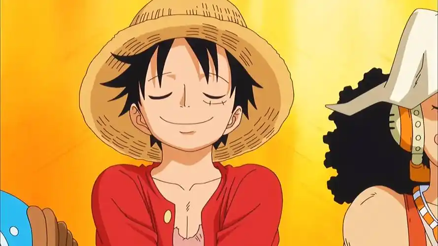 航海王全球人气角色投票揭晓路飞顺利登顶