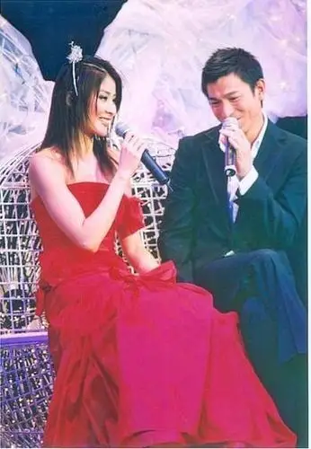 4.刘德华vs陈慧琳