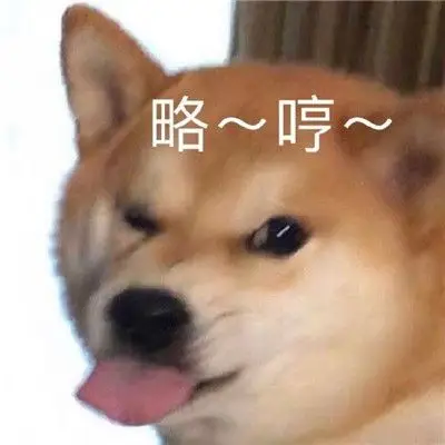 2021最热门的聊天微信表情包图片