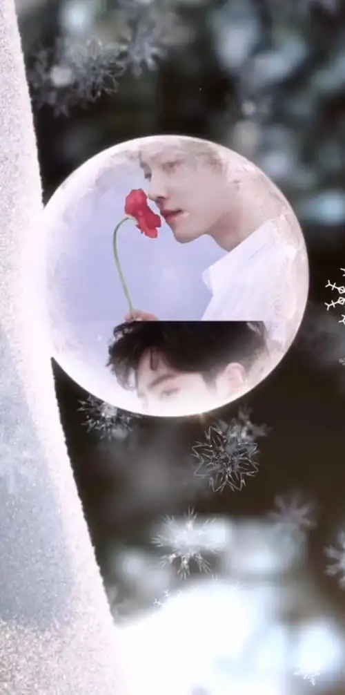 全世界最好的肖战#肖战手持玫瑰