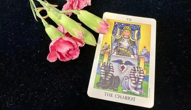 巨蟹座所对应的塔罗牌战车