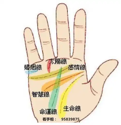 女生感情婚姻线怎么看哪位可以帮忙看看手相主要是婚姻线感谢感谢