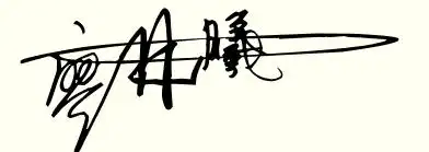 情帮我设计艺术签名一笔写 名字是廖林曦