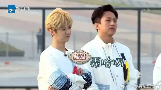 李晨|baby|奔跑吧_新浪新闻