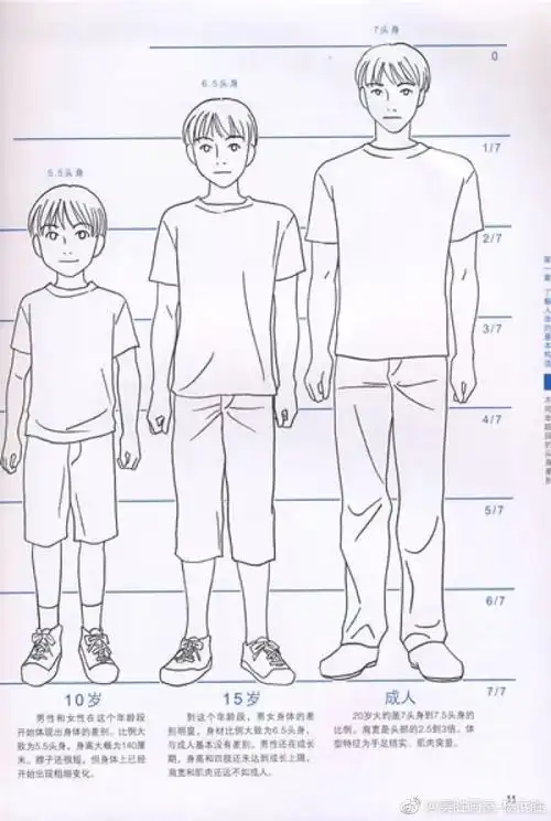 速写人物比例讲解