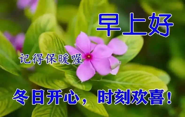 9张有创意的亲人朋友早上好免打字图片 温馨的大家早上好问候语图片带