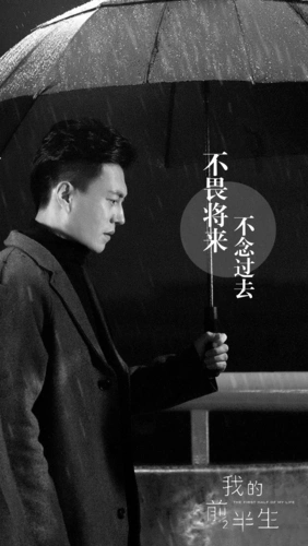 我的前半生贺涵靳东手机壁纸