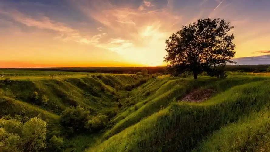 首页 自然与风景 夏天