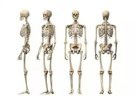 一文读懂图卷积在基于骨架的动作识别中的应用