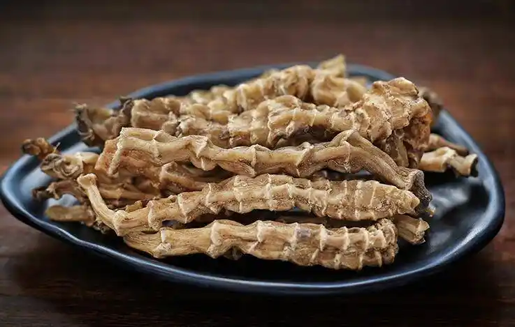 地参的功效与作用