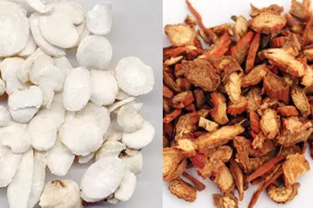 【图】白芍和赤芍的区别有哪些 三大要点教你一次认清