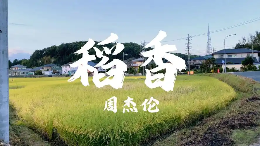 【4k 无损音质】 周杰伦《稻香》"还记得你说家是唯一的城堡""追不到