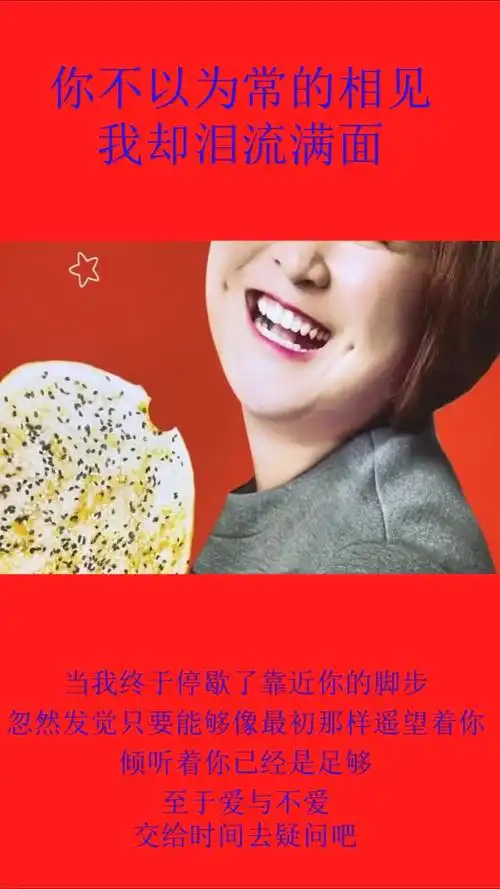 对不起对不起对不起贾玲围炉锅盔香辣牛肉小吃锅盔