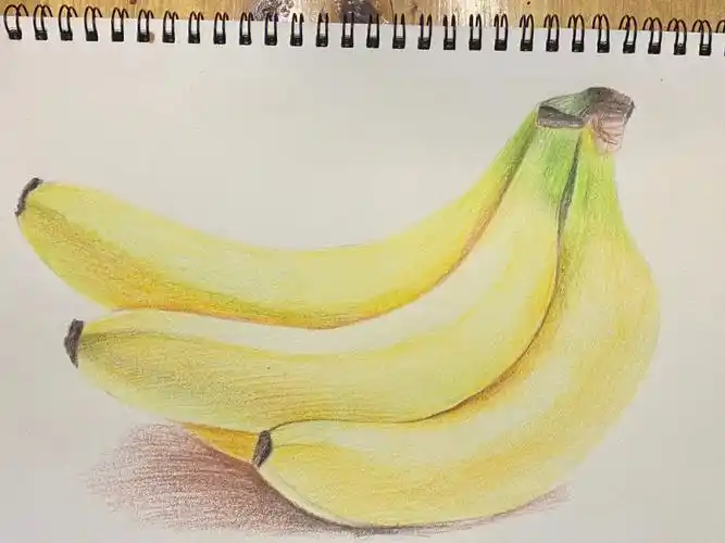 彩铅香蕉