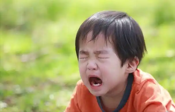 宝妈们乐的清闲围在一起话家常,一个小男孩突然从孩子堆里哭着跑过来