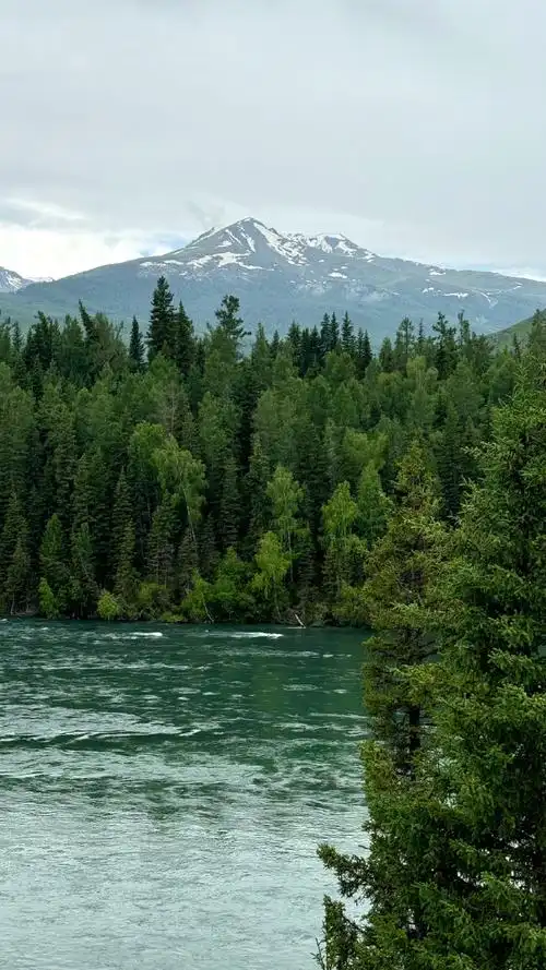 690_1227竖版 竖屏