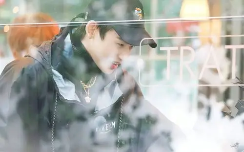 小鬼王琳凯小姐姐的花店