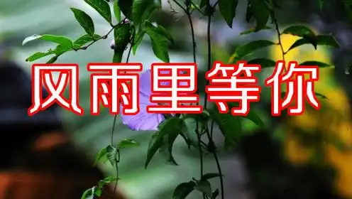 一曲《风里雨里我在等你》深情对唱,温馨又甜蜜!
