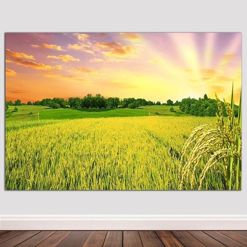 意境唯美旭日东升油画布挂轴稻田麦田五谷丰登海报自粘风水镇宅画