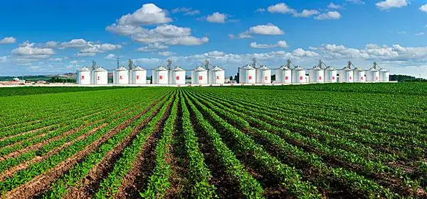 农村粮仓图片_农村粮仓图片大全_农村粮仓图片下载