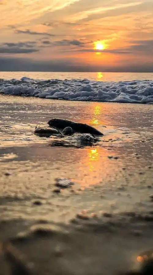 背景图,手机壁纸