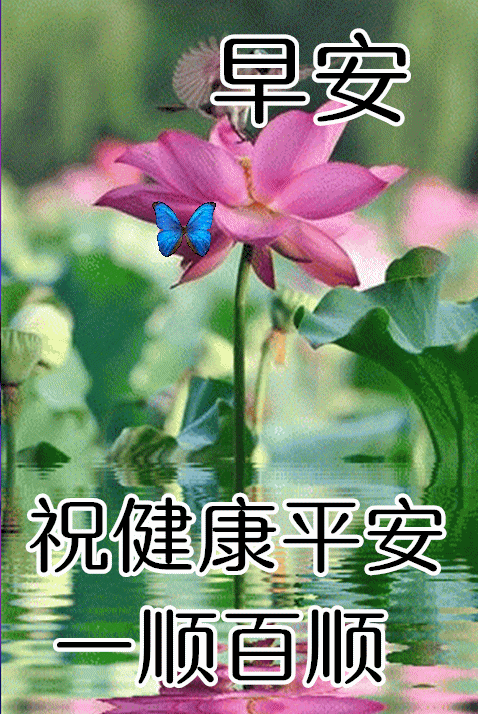 11月23日,最漂亮早上好动态表情图片大全,早晨好美图大全