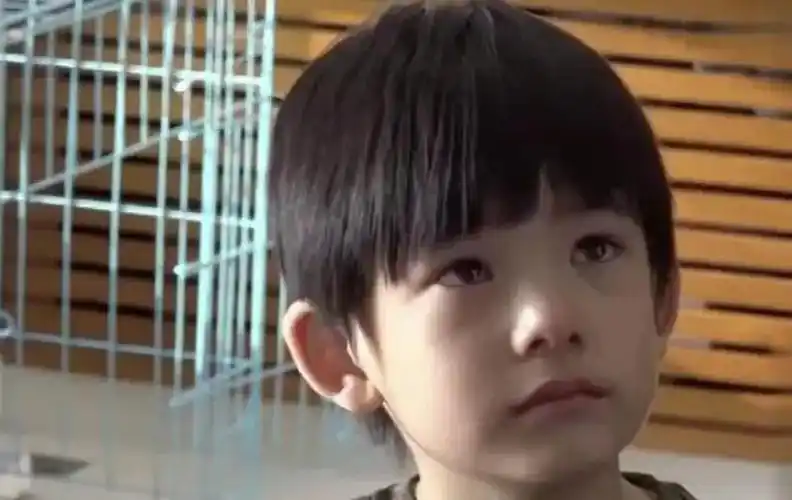 好久不见顶顶?董洁和潘粤明又互动上了?